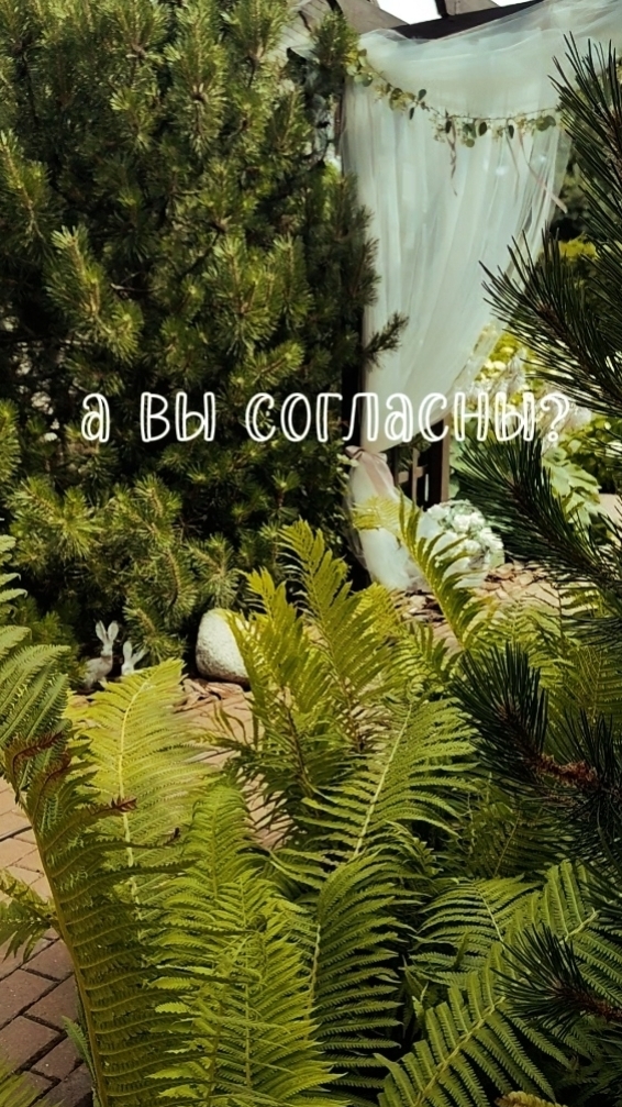 Рецепт Счастья 🤍🌿