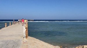 Самый семейный отель в Марса Алам - Albatros Sea World Marsa Alam 5* обзор отеля 2022