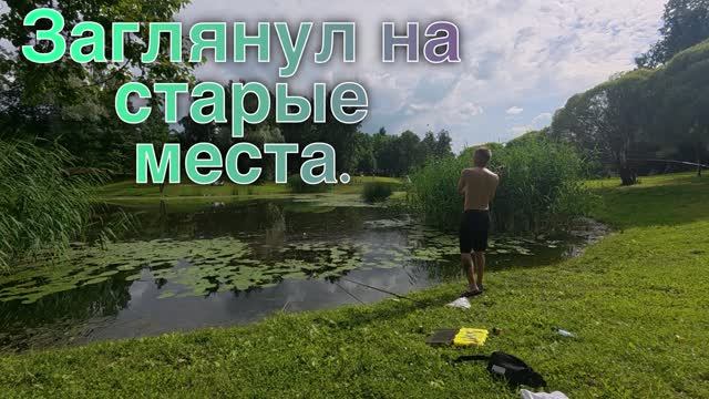 Прогулялись к Графскому пруду со спиннингом. #рыбалка