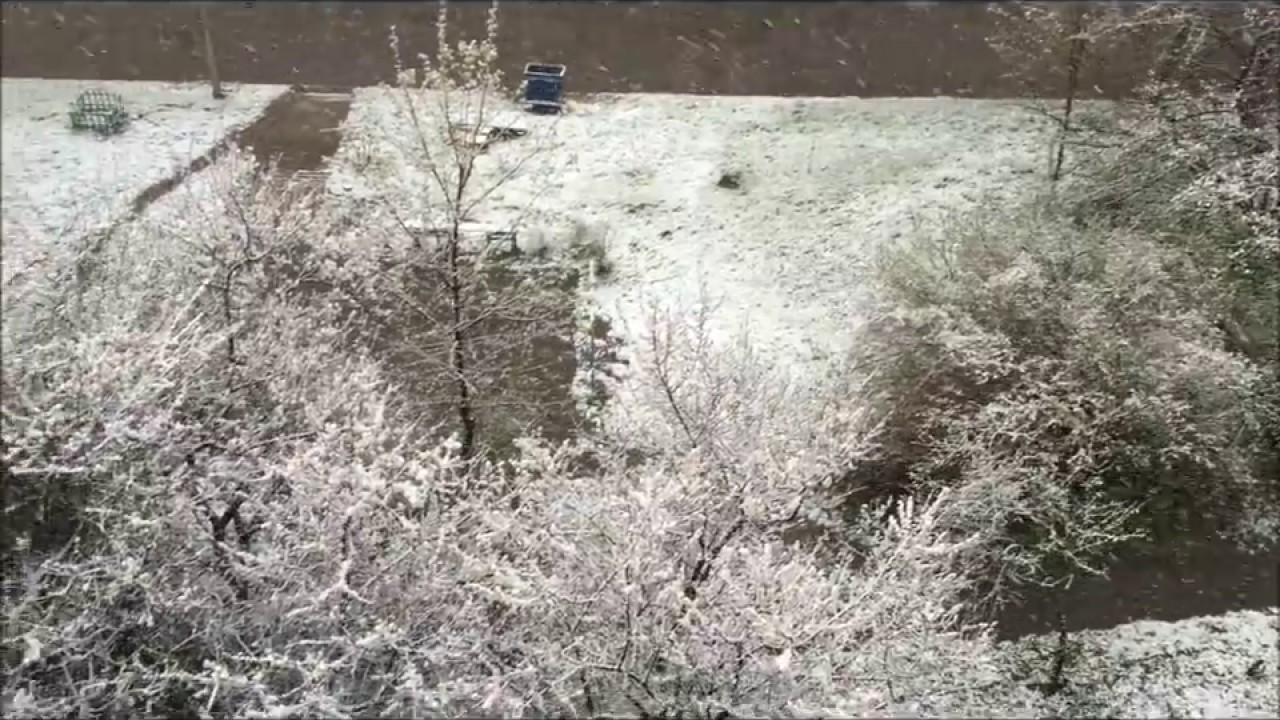 Снег в апреле - Харьков смотреть онлайн