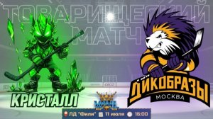 Кристалл - Дикобразы / Winner Cup / 11.07.2026