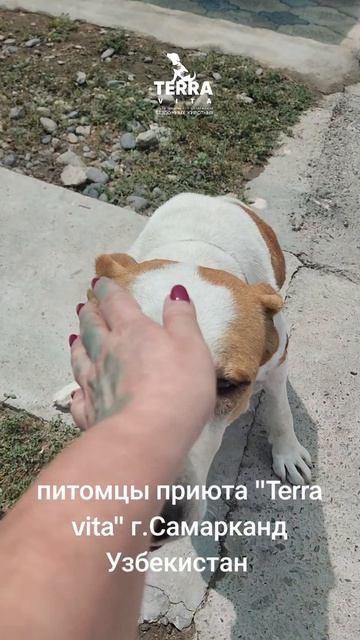 Не забывайте о наших питомцах!