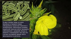 Николаев 12 июля 2026 года (новости)