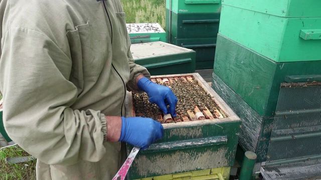Борьба с клещем и многое другое , на кочевом точке. Часть 2 смотреть онлайн