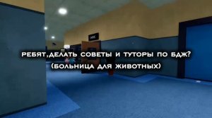 Делать туторы и советы по бдж?