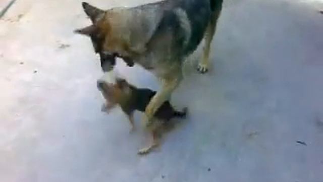 ну поцелуй меня ,,,ну пожалуйста,