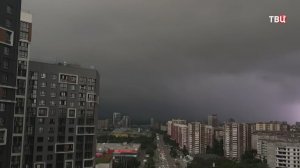 В Подмосковье ураган уничтожил приют для животных
