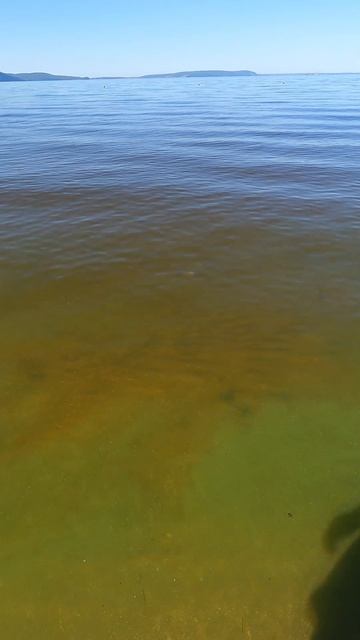 вода тархун смотреть онлайн