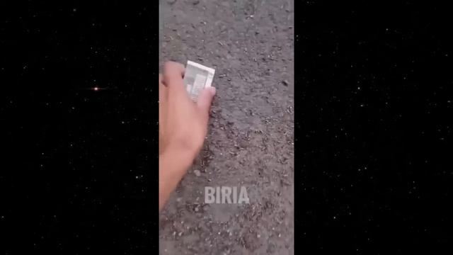 Я ржал до слез 😂 20 Минут смеха 2026 Смешные видео Приколы с животными!Подборка #1 смотреть онлайн
