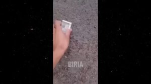 Я ржал до слез 😂 20 Минут смеха 2026 Смешные видео Приколы с животными!Подборка #1