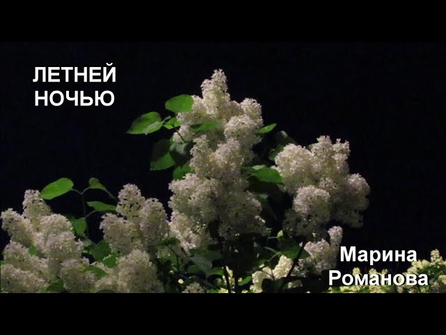 © Марина Романова "ЛЕТНЕЙ НОЧЬЮ" #маринароманова #авторскиепесни #лето смотреть онлайн
