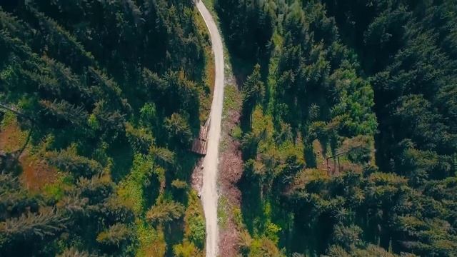 Кассира уволили за то, что отпустила маленькую воровку… А спустя неделю она получила странное смс смотреть онлайн
