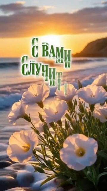 Добрый вечер смотреть онлайн