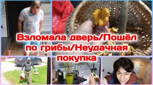 Взломала дверь/Мой грибник,и грибы/Неудачная покупка  Часть 1