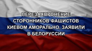 Перезахоронение сторонников фашистов Киевом аморально, заявили в Белоруссии