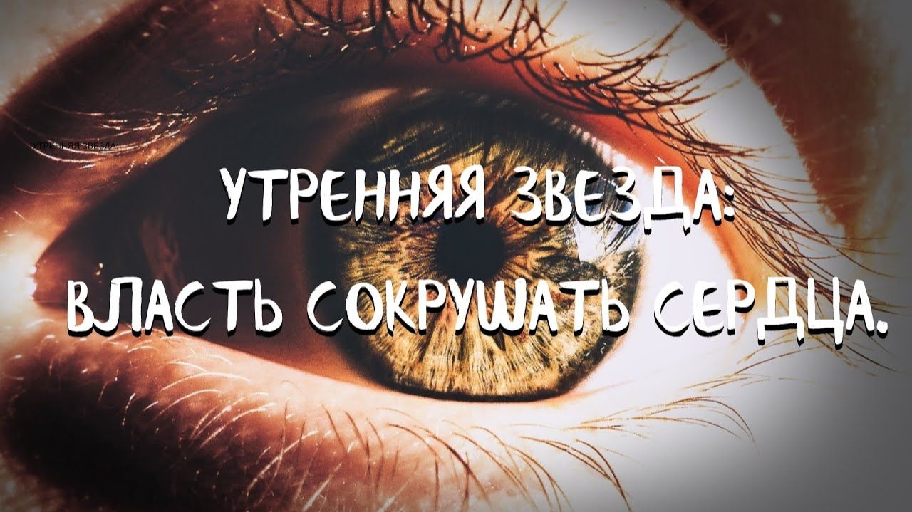 КУРС. СОЗЕРЦАТЕЛЬНОЙ ЖИЗНИ