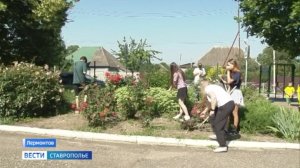 Как подростку подзаработать в свободное время?