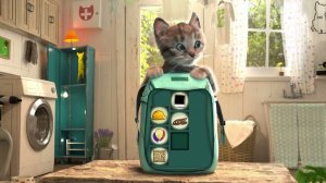 ПРИКЛЮЧЕНИЯ МАЛЕНЬКОГО КОТЕНКА мультик про котят мультики для детей и малышей мультики на