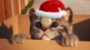 Приключения МАЛЕНЬКОГО КОТЕНКА - Какому супергерою костюм для Лучшего отдыха!