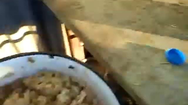 хотим кушать смотреть онлайн