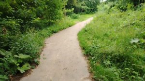 Гуляю на природе, вдоль реки Пахра - (1)