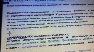 WWWW.5.6  ПалеоПсихика Гуасын