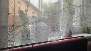 Не верьте мне, я даже сама себе не верю
