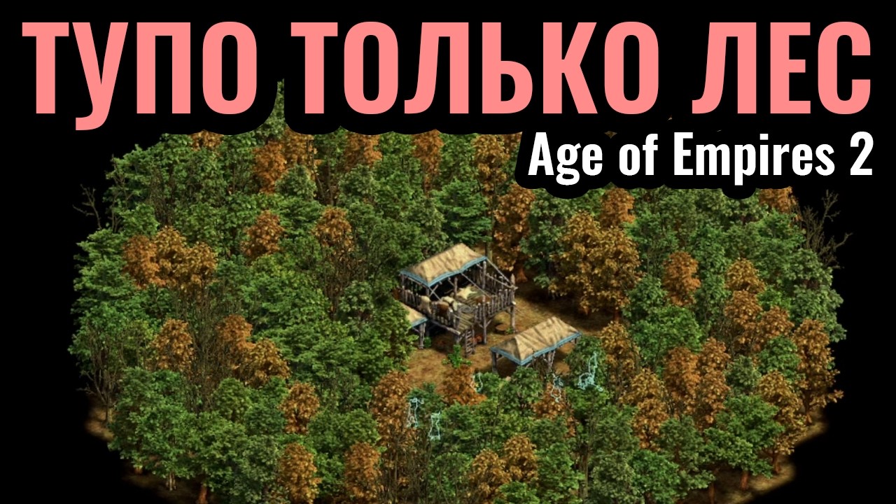 5 МИЛЛИОНА ЛЕСА и больше НИЧЕГО?! Вся карта - это ЛЕС в Age of Empires 2 смотреть онлайн