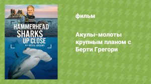 Акулы-молоты крупным планом с Берти Грегори (документальный фильм, 2026)
