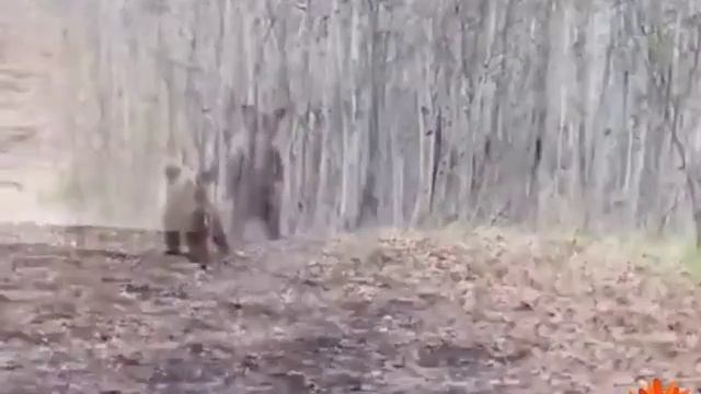 БЫВАЕТ смотреть онлайн