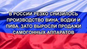 В России резко снизилось производство вина, водки и пива. Зато выросли продажи самогонных аппарато