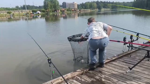 Поимка карпа смотреть онлайн