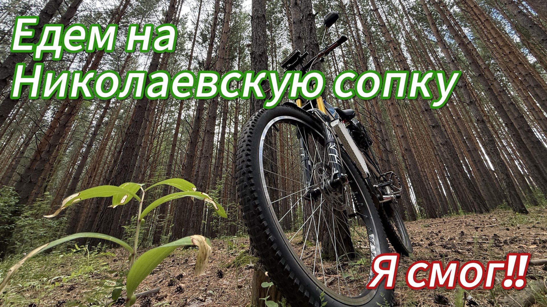 Еду на Николаевскую сопку, я смог!