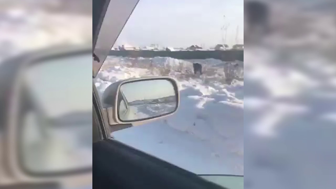 С неба Якутии из самолета рассыпалось 9 тонн золота смотреть онлайн