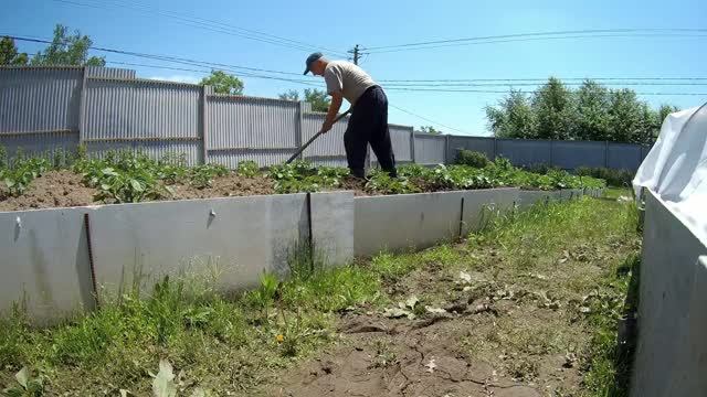 12 июня  Некогда отдыхать.