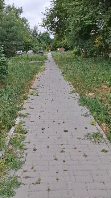 #РоссияПлыви Влияние физкультуры. Баканов Григорий Бассейн наше всё.Артём Баканов Водные Виды Спорта