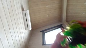 рок джо