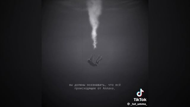 1000061921.mp4 смотреть онлайн
