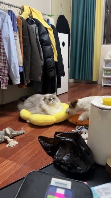 Ему кажется пофиг
