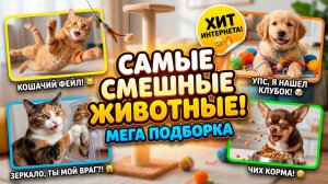 Попробуй не засмеяться: Лучшие приколы с котами и собаками 2026