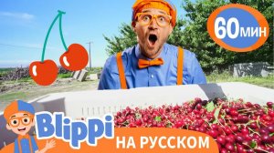 Блиппи на фабрике вишни _ Изучай этот мир вместе с Блиппи _ Обучающие видео для