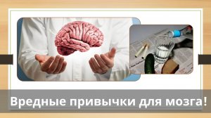 Вредные привычки для мозга 05
