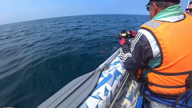 Охотское море кишит рыбой или как мы с гостями рыбачили на м. Свободный