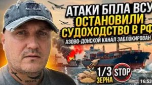 Атаки БПЛА остановили судоходство по Азово-Донскому каналу в РФ