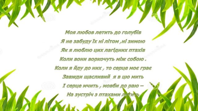 Птах миру - голуб смотреть онлайн