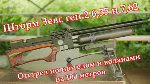 Отстрел клиентских винтовок Зевс вер.2  в 6,35 и 7,62 полнотелом и воланами на 100  метров