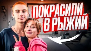 ЛАЙФ РЕХАБ | РЫЖИЙ ТИГР