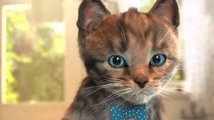 ПРИКЛЮЧЕНИЯ МАЛЕНЬКОГО КОТЕНКА мультик про котят мультики для детей и малышей мультики на