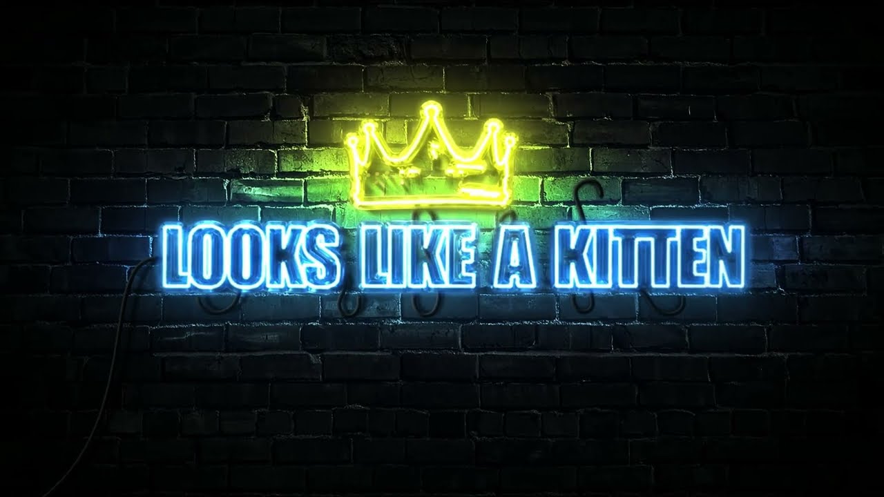 looks like a kitten БЕЗ ЗВУКА 1 смотреть онлайн