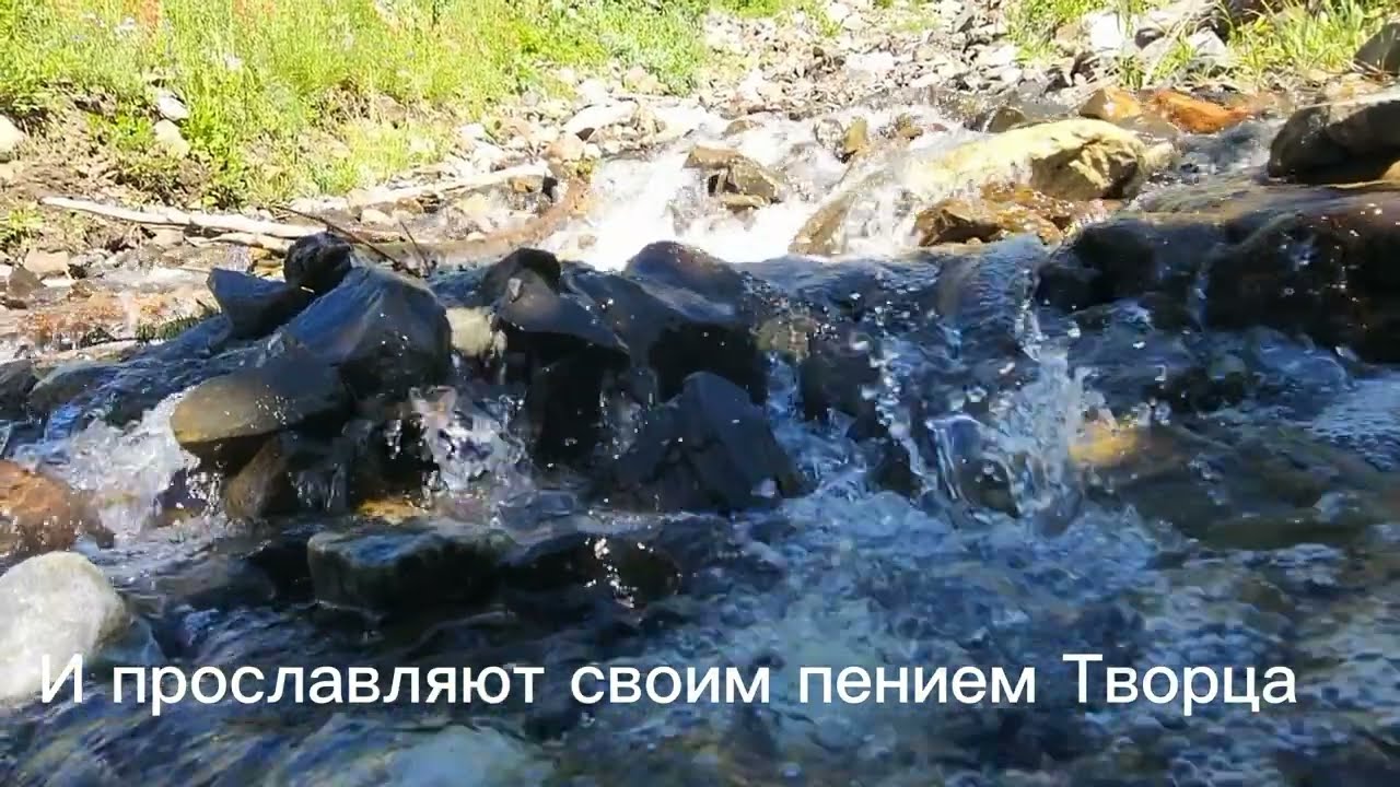 В этот день такой прекрасный светлый солнечный...  Христос Воскрес. Фонограмма #минус  #фонограмма
